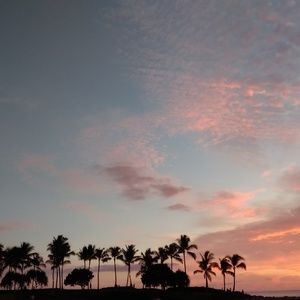 Meet your Posher, Savanna